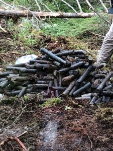Old Drillcore - likely from the 1950's - targeting lithium