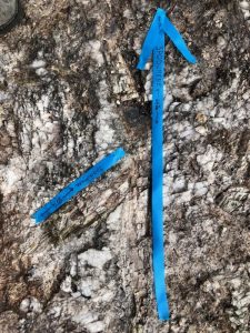 Big Spodumene Crystals
