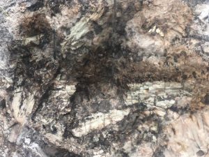 Big Spodumene Crystals